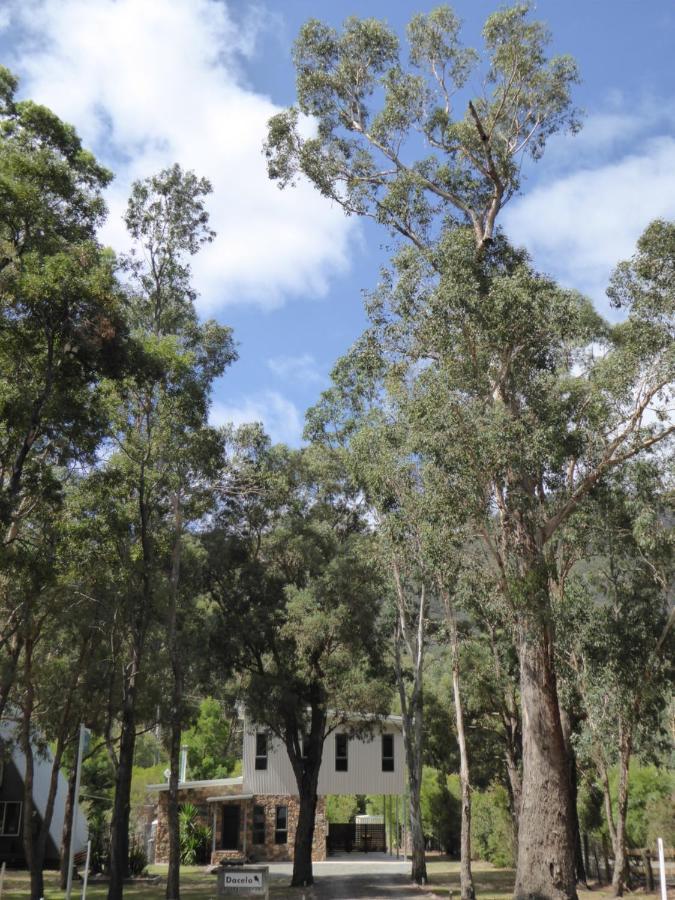 Dacelo Villa Halls Gap Bagian luar foto