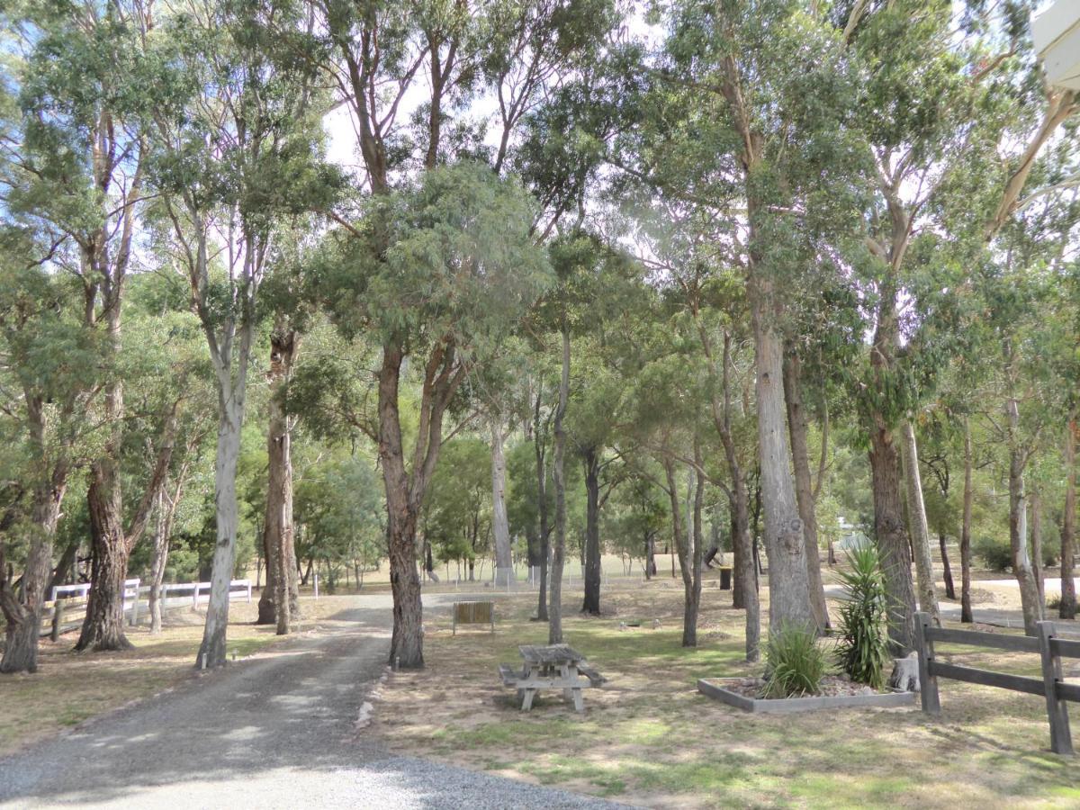 Dacelo Villa Halls Gap Bagian luar foto