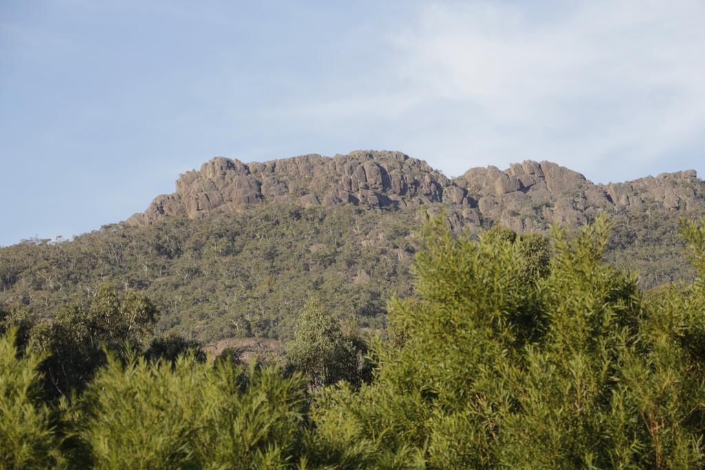 Dacelo Villa Halls Gap Bagian luar foto