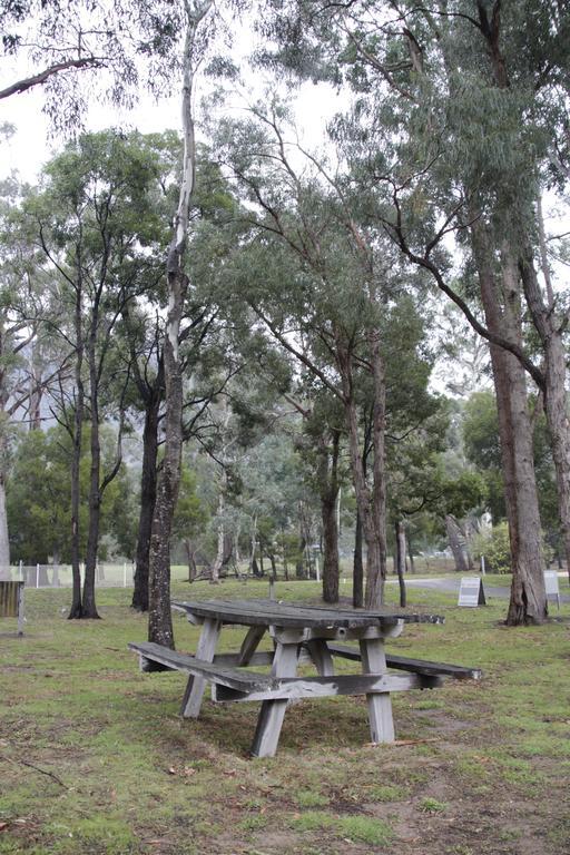 Dacelo Villa Halls Gap Bagian luar foto