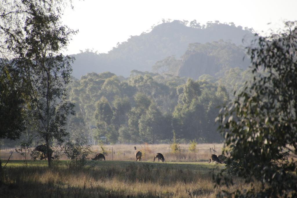 Dacelo Villa Halls Gap Bagian luar foto